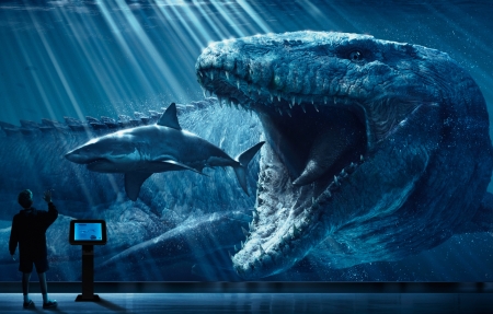 河西走廊 历史人文纪录片